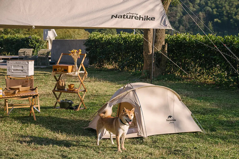 Furry Friends and Fresh Air: A Guide to Camping with Pets - Naturehike official store