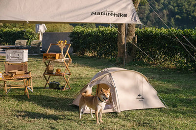Furry Friends and Fresh Air: A Guide to Camping with Pets